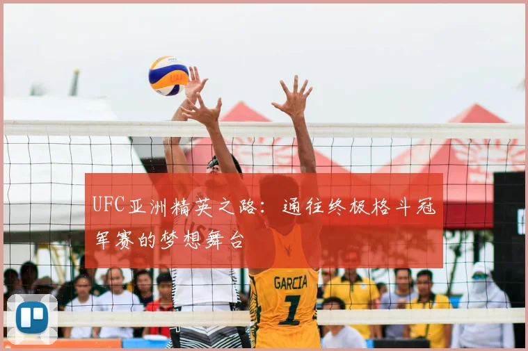 UFC亚洲精英之路:通往终极格斗冠军赛的梦想舞台