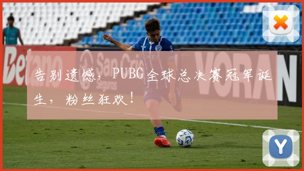 告别遗憾,PUBG全球总决赛冠军诞生,粉丝狂欢!